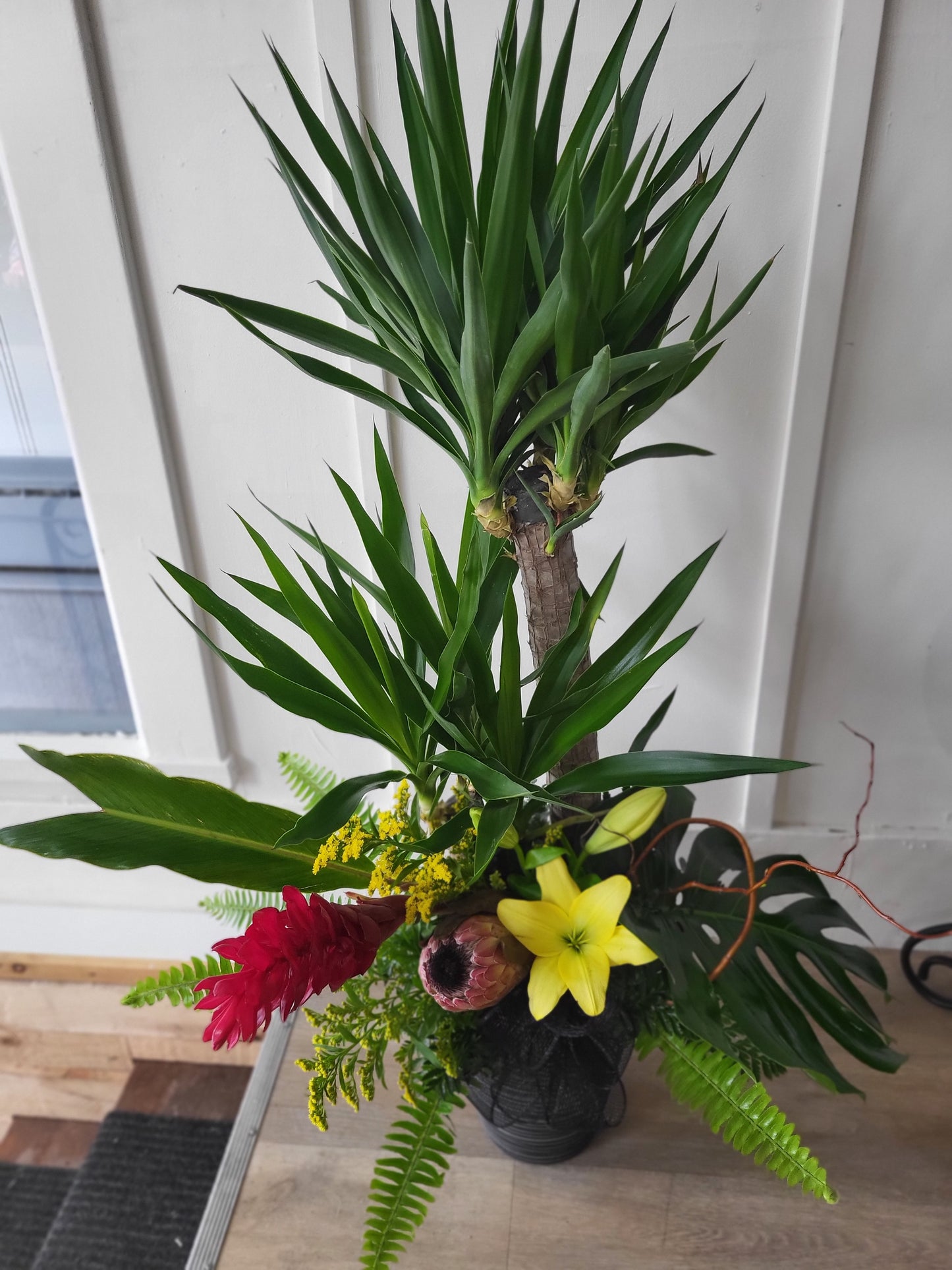 Plante funéraire yucca