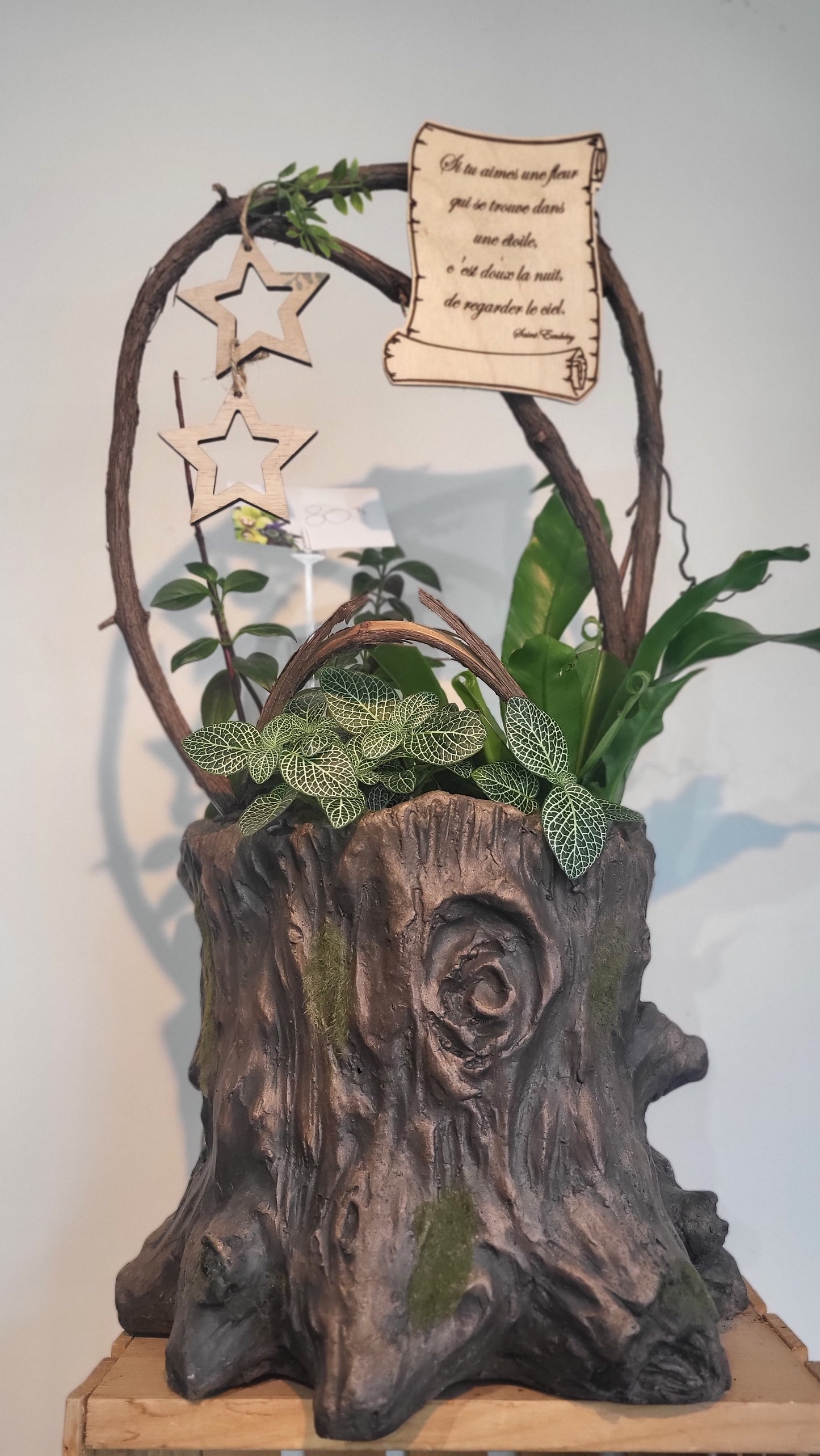 Buche de bois