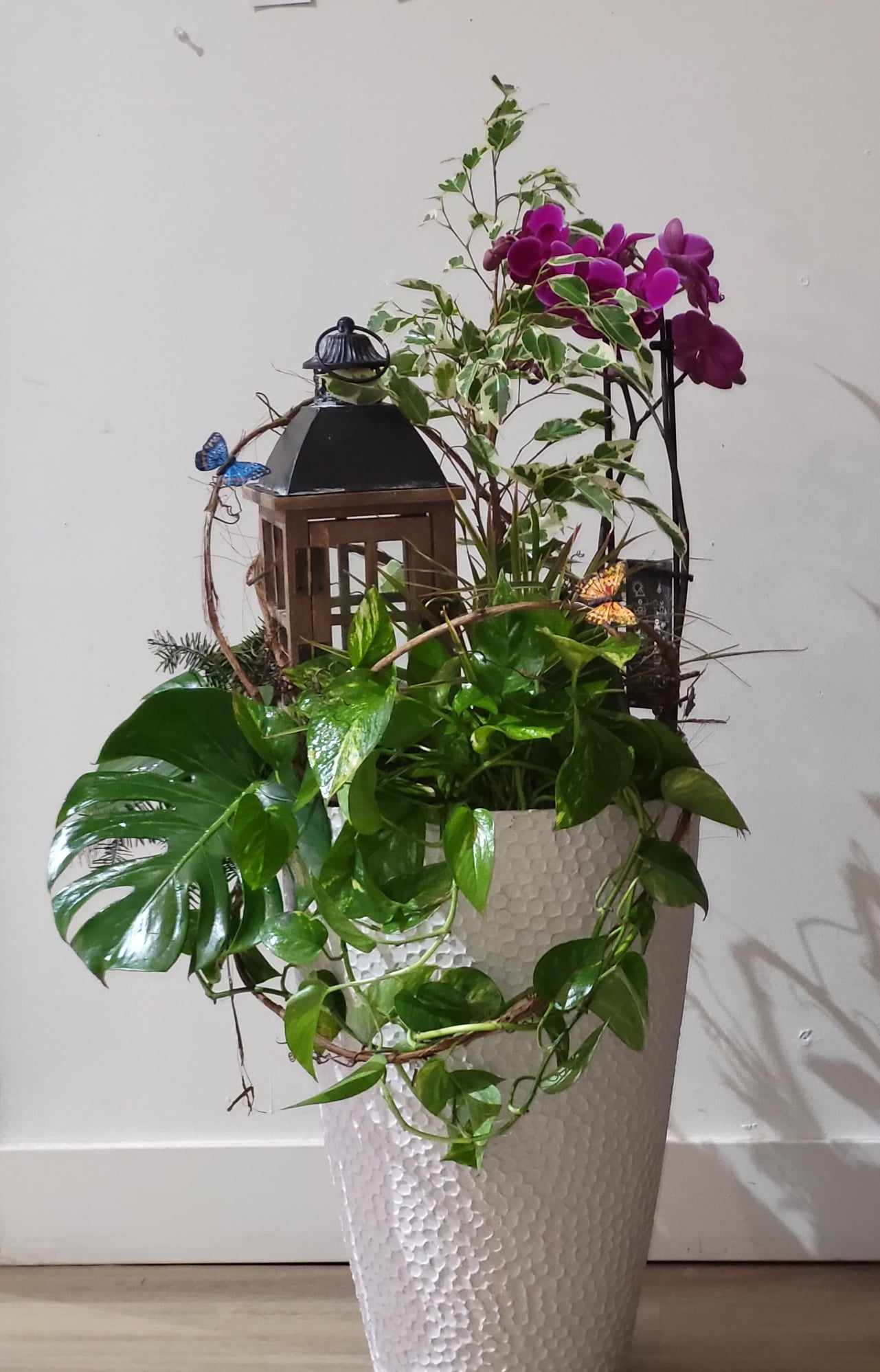 Lanterne avec orchidée