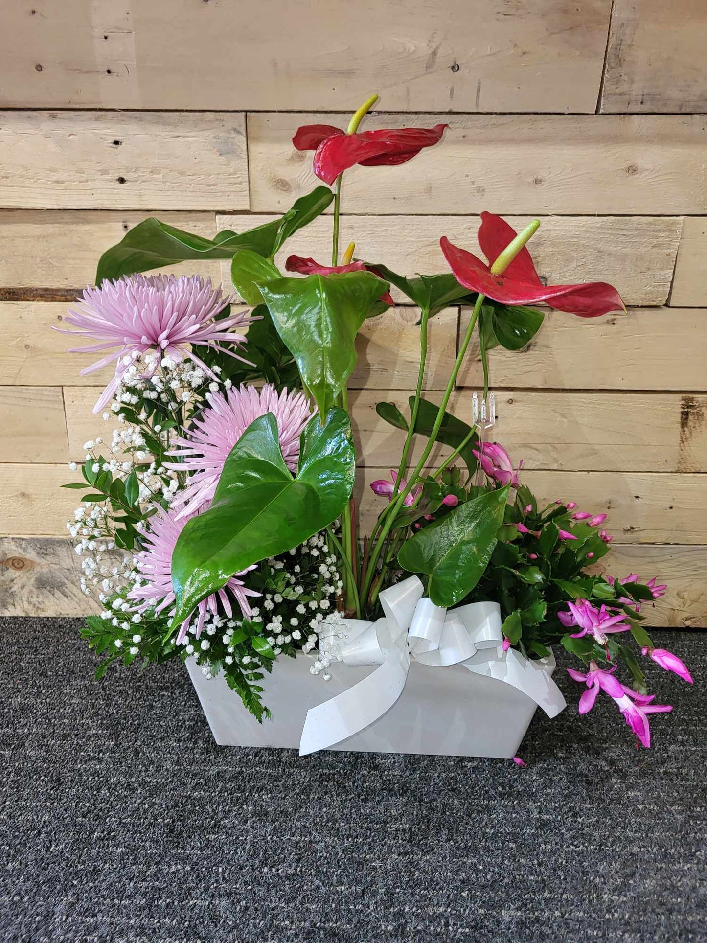 Anthurium accompagné