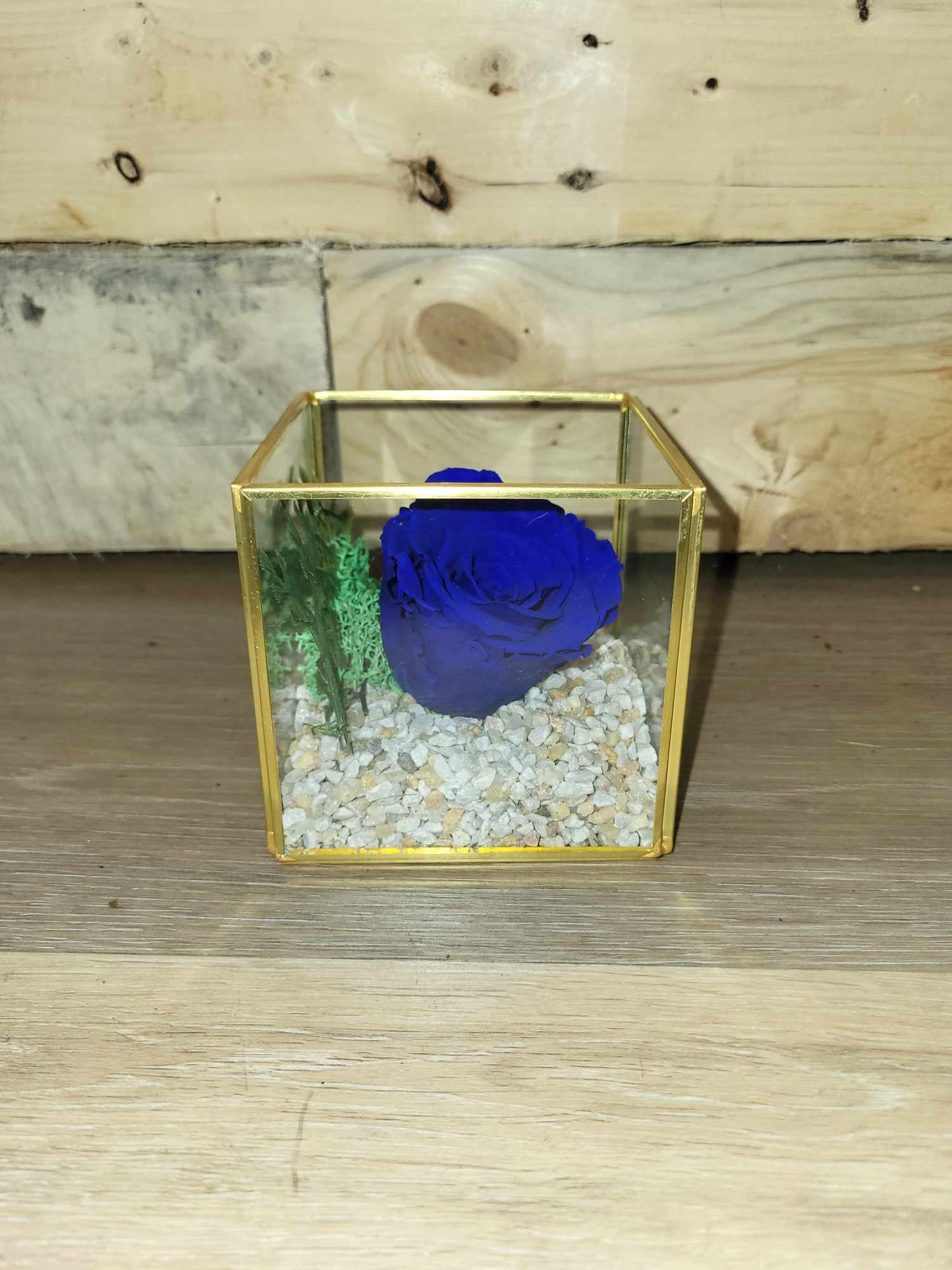 Rose éternelle - NATURE