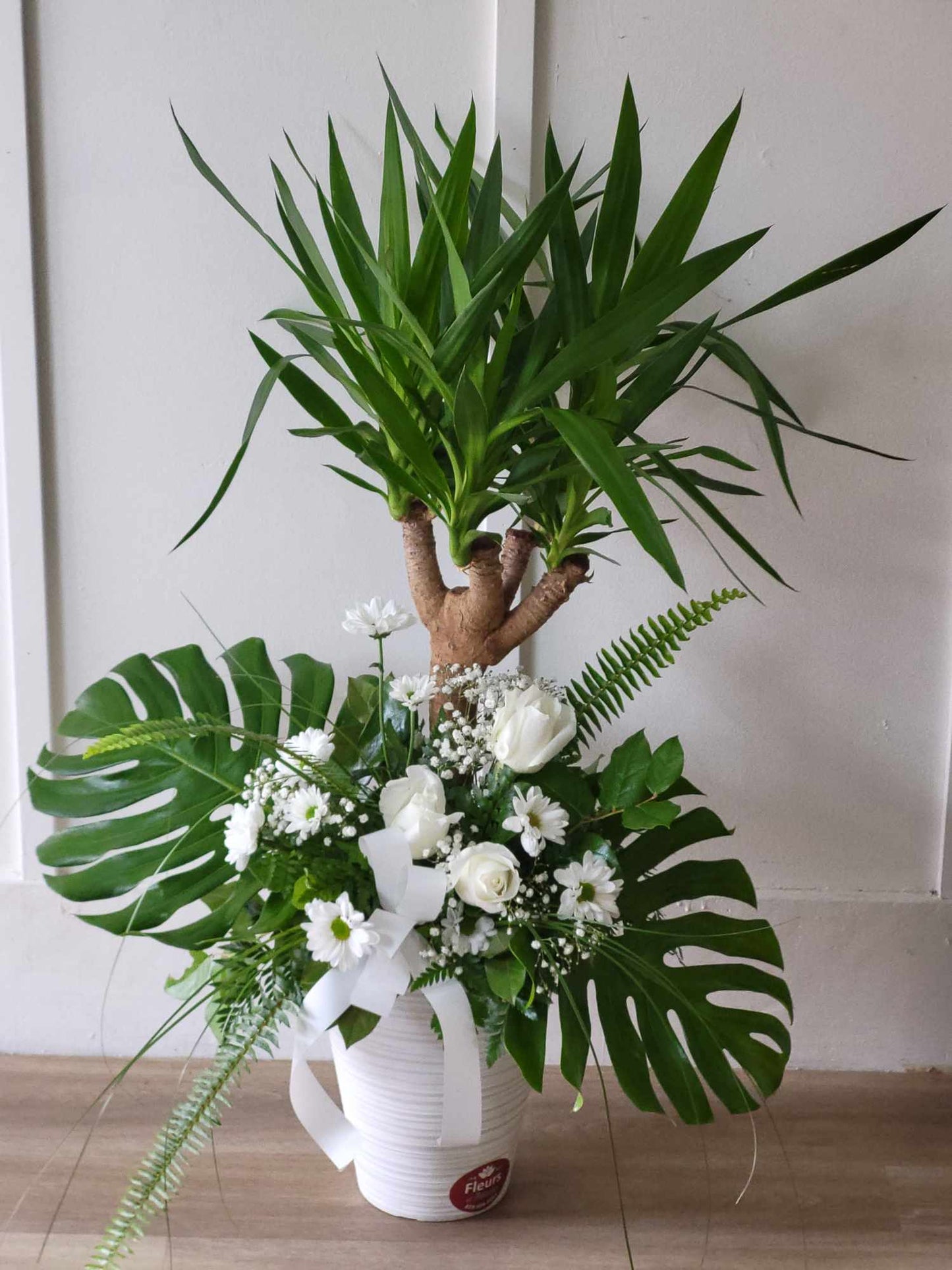 Plante yucca avec fleur naturelle