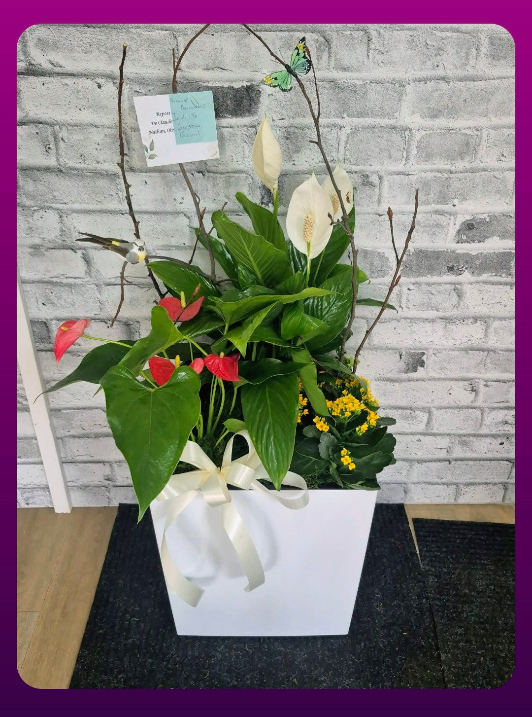 Jardin de plante no 150