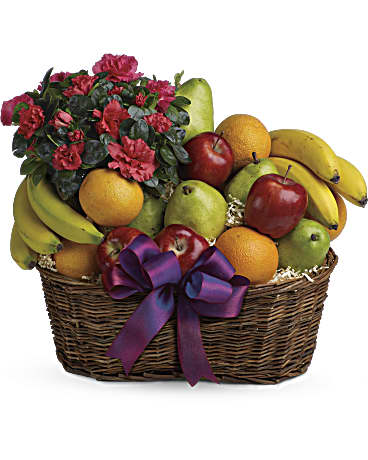 Panier de fruits