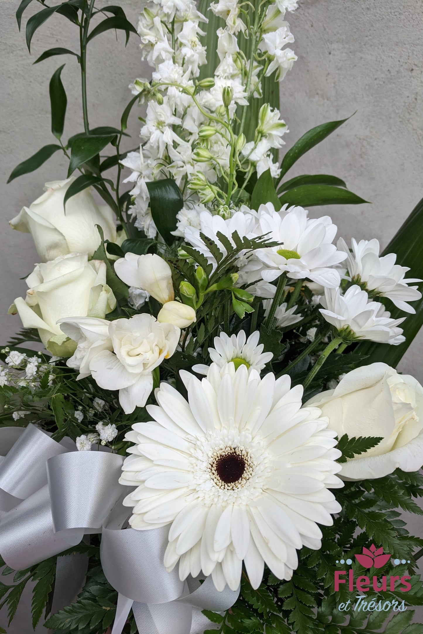 Choix de plusieurs Vases de SYMPATHIES