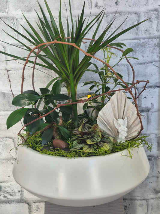 Jardin de plante  l'élégance