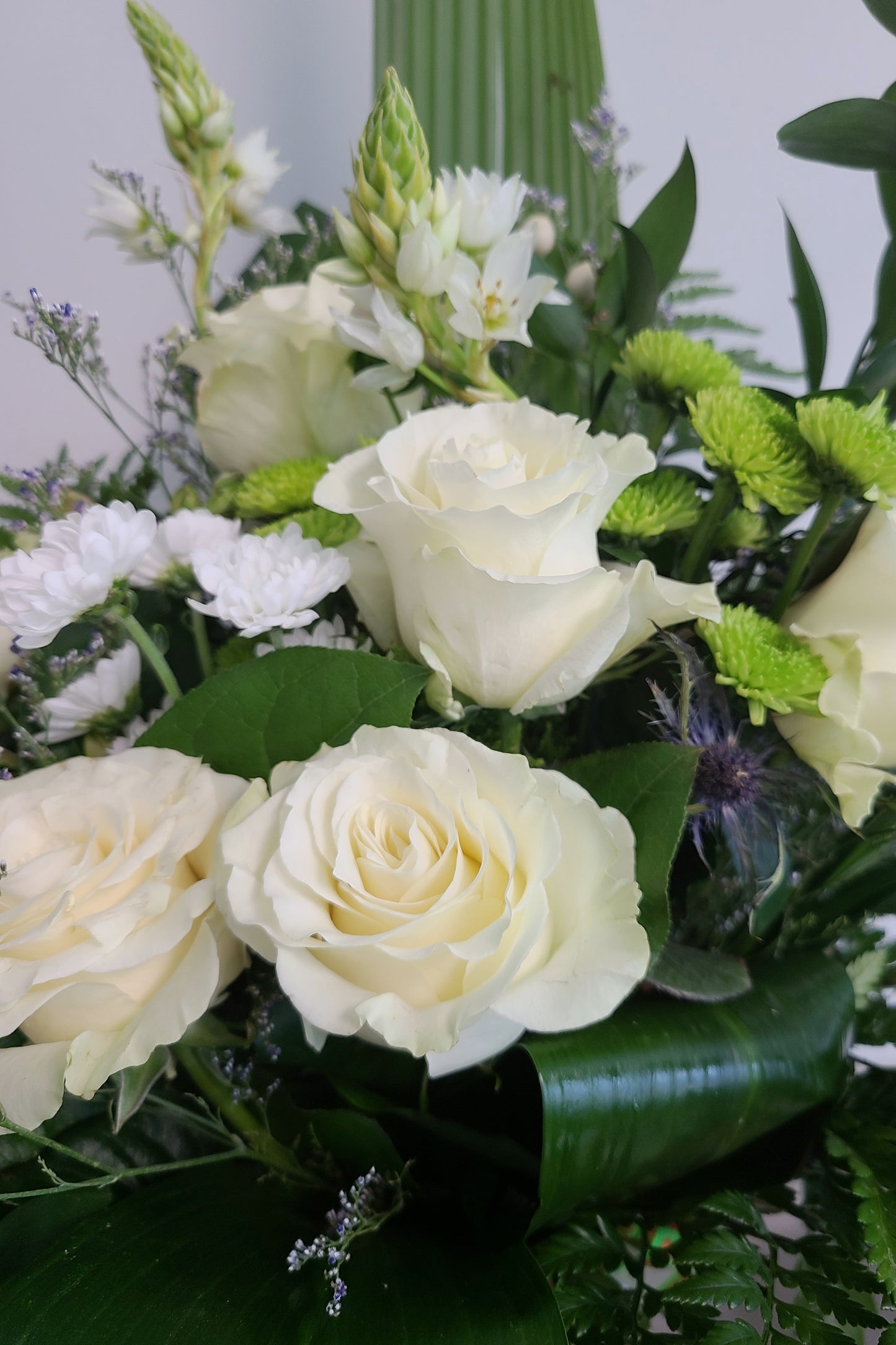 Bouquet - ZEN
