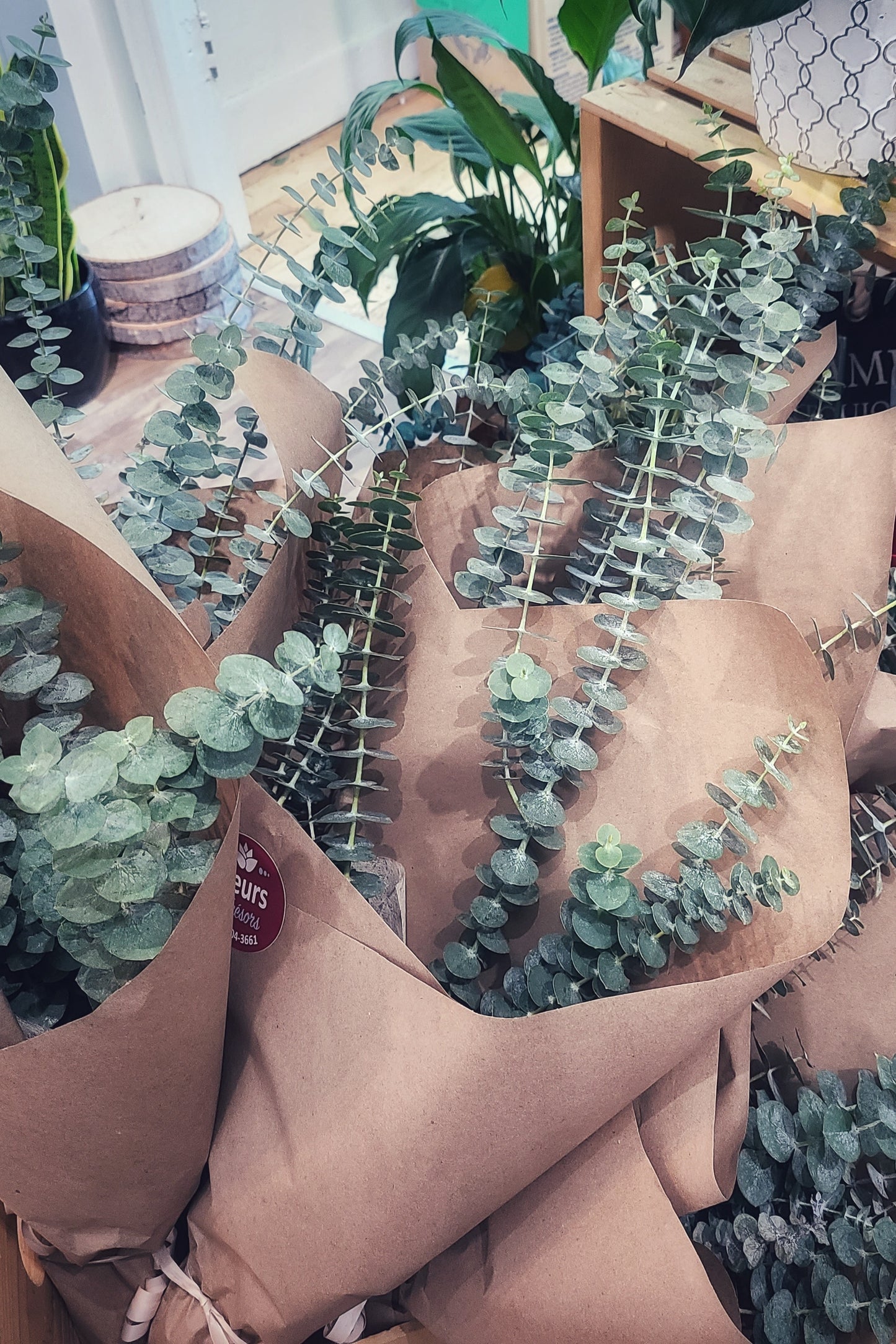 Bouquet - EUCALYPTUS