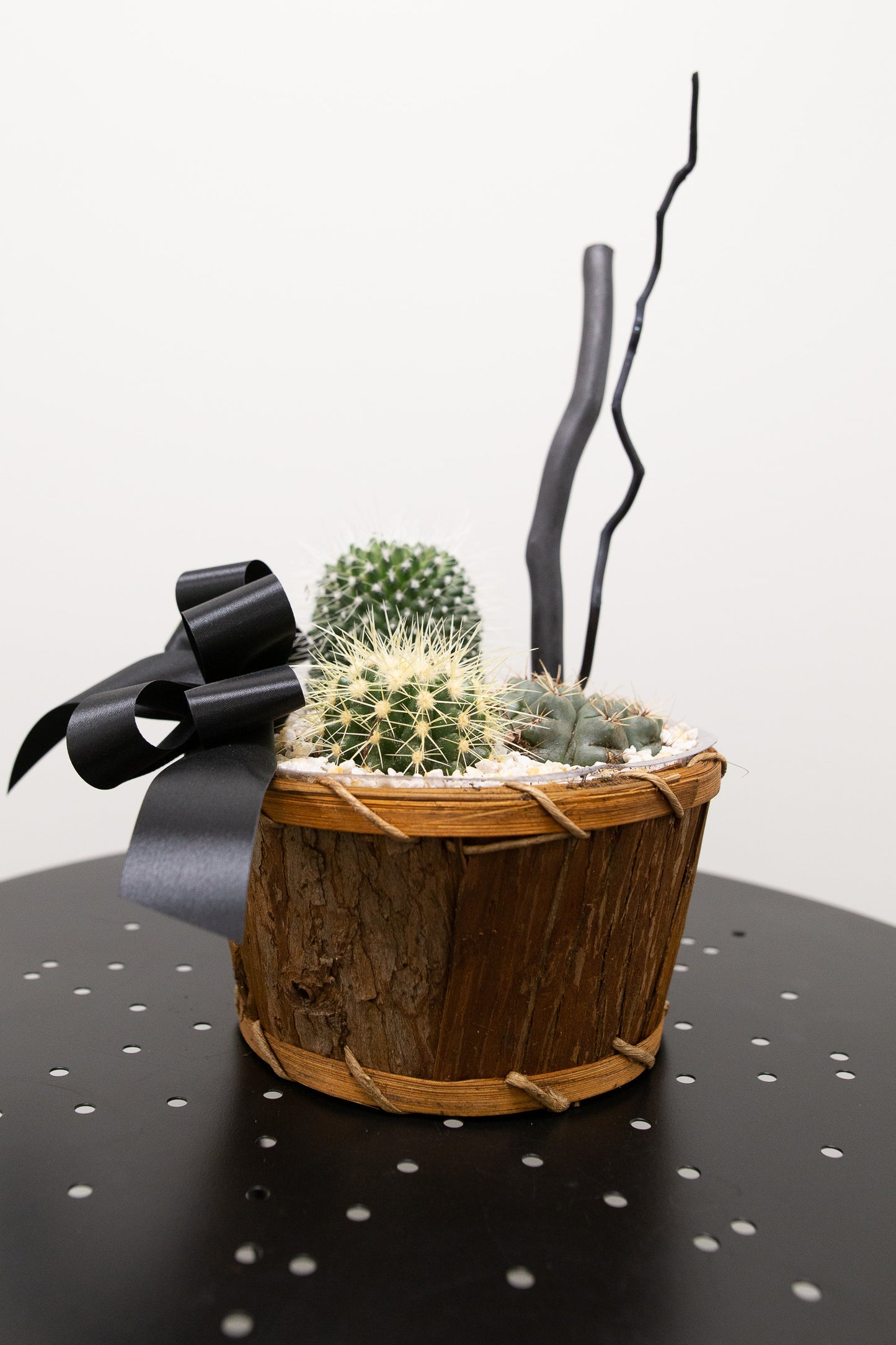 Jardin de cactus