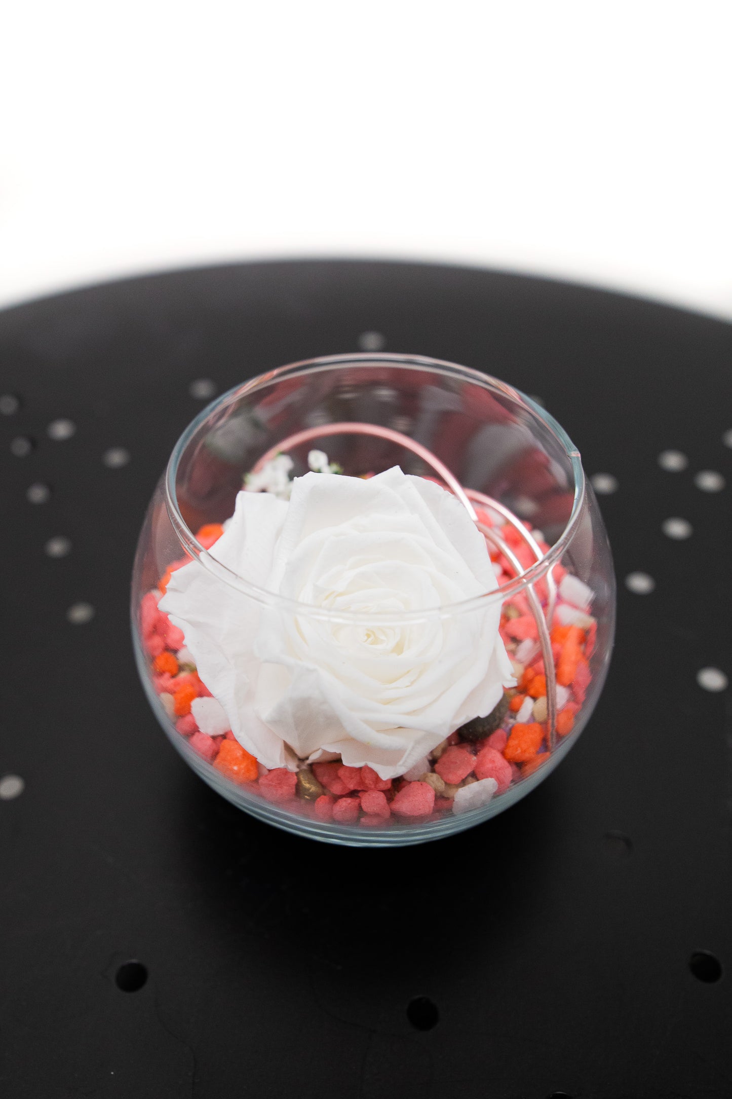 Rose éternelle - NATURE